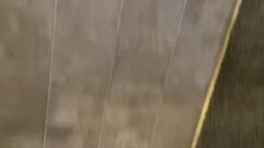 April 2020 - More & More Blowjobs