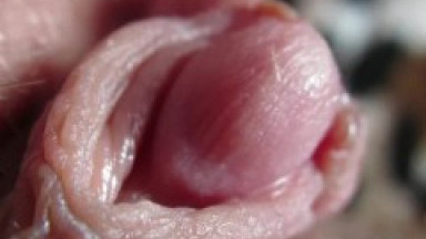 Pulsing Hard Clitoris In Extreme Close Up