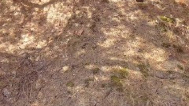 OMG Stranger fucked me and cums inside, I cum too